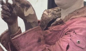 Bizarre Application Of Paint