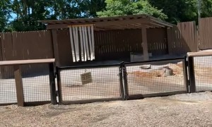 They Got Everything at This Exhibit