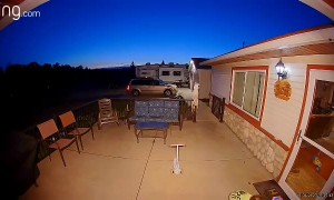 Toddler Swinging a Hammer