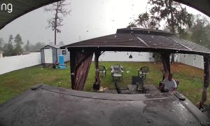 Storm Sends Neighbor's Tree Flying at Man