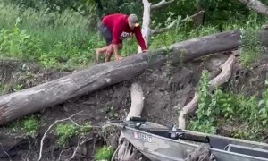 Saving a Baby Deer Trapped in a River