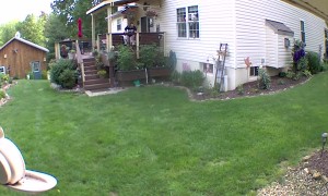 Raw Footage of Me Cursing and Slapping a Rabid Raccoon