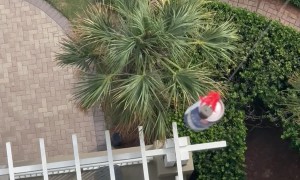 Balcony Beer Fishing