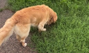 I Show You, but Don't Judge Me