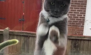Loki Found a New Way of Being Very Annoying Even When Outside