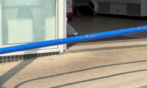 Seagull Carefully Plots Peanut Heist