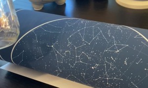 Scorpion In the House