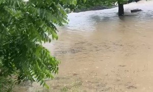Flooding Through Apartment Building Tears Off Wall