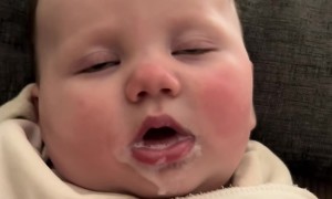 Milk Drunk Baby Girl