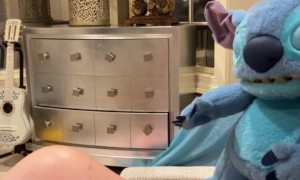 French Bulldogs Make Friends With Alien Experiment