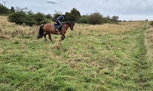 Girl Fall Head First Off Her Horse