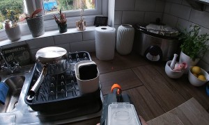 Bug-A-Salt Exterminates Two Flies in the Kitchen