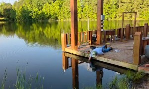 Bass Fish Caught By Hand