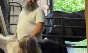 Pony Torpedoes Through Barn