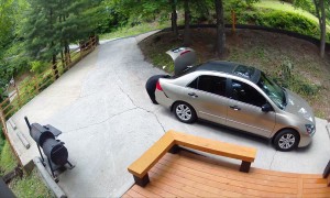 Black Bear Digs Through Unlocked Trunk