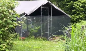 Bear Scare in Chicken Coop