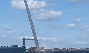 Men Are Easy to Entertain