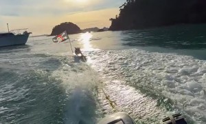Pirate French Bulldog Surfs Behind Boat