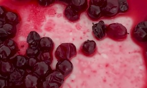 Lingonberry Disaster