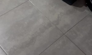 Olly's Little Pillow