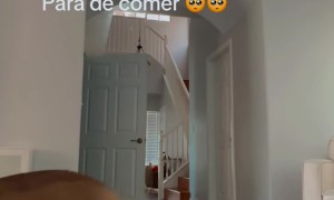 Dog Passes Loyalty Test