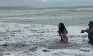 Wave Comes By Surprise and Washes Dogs to Shore