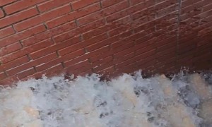 Home Alone and the Pool Breaks