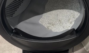 My Cats Have a Robot Butler..I Still Clean My Own Dishes