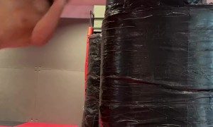 Fight Finishing Moves