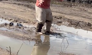 Son Gets Stuck Sinking In Mud