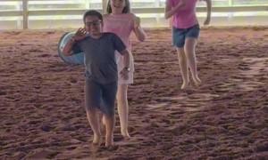 Kid Get's Trampled by a Calf