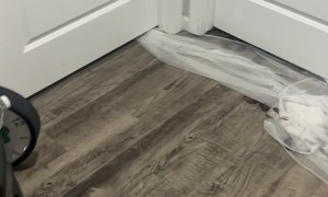 Pretend the Flood Isn’t Happening