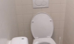 Multiplayer Toilet Stall