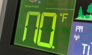 Temp Says NO and I Say NO