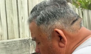Veteran Saves Cardinal From His Backyard Fence