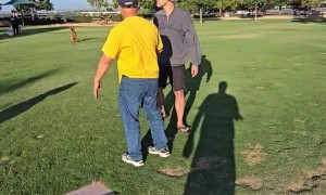 Aggressive Interaction at the Dog Park