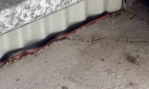 Fit Check but You Live in Australia