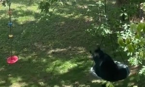 Mama Takes the Swing