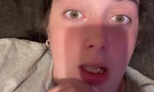 Not a Regular Mom, a Cool Mom