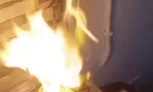 Magic Chef Makes Smoked Sausages Disappear