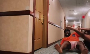 He Really Asked for a Roll of Tissue