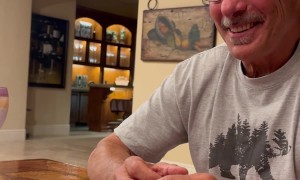 Who Doesn’t Love a Good Lullaby?