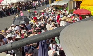 Can't Disturb This Little Pup's Peace