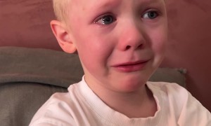 Feeling a Little Emotional About Garlic Bread