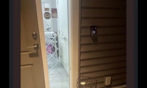 Apologies to the Dasher Who Delivered a Single Sauce to My Door at 1am