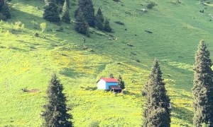 Lonely House Far From Civilization