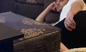 Energized Kitten Plays Tag With Owner