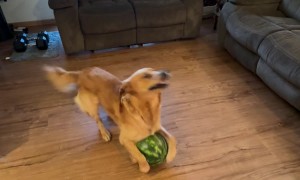 Bringing Smiles One Watermelon at a Time