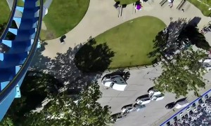 Man Hit by Seagull on Rolle Coaster