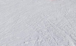 Little Sledder Knocks Over Woman